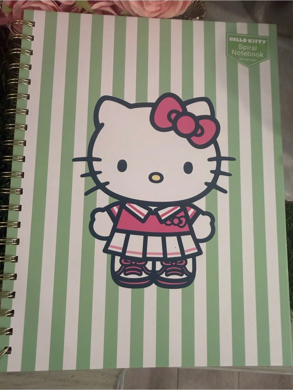 Sanrio Hello Kitty Spiral Notebook - pickleball